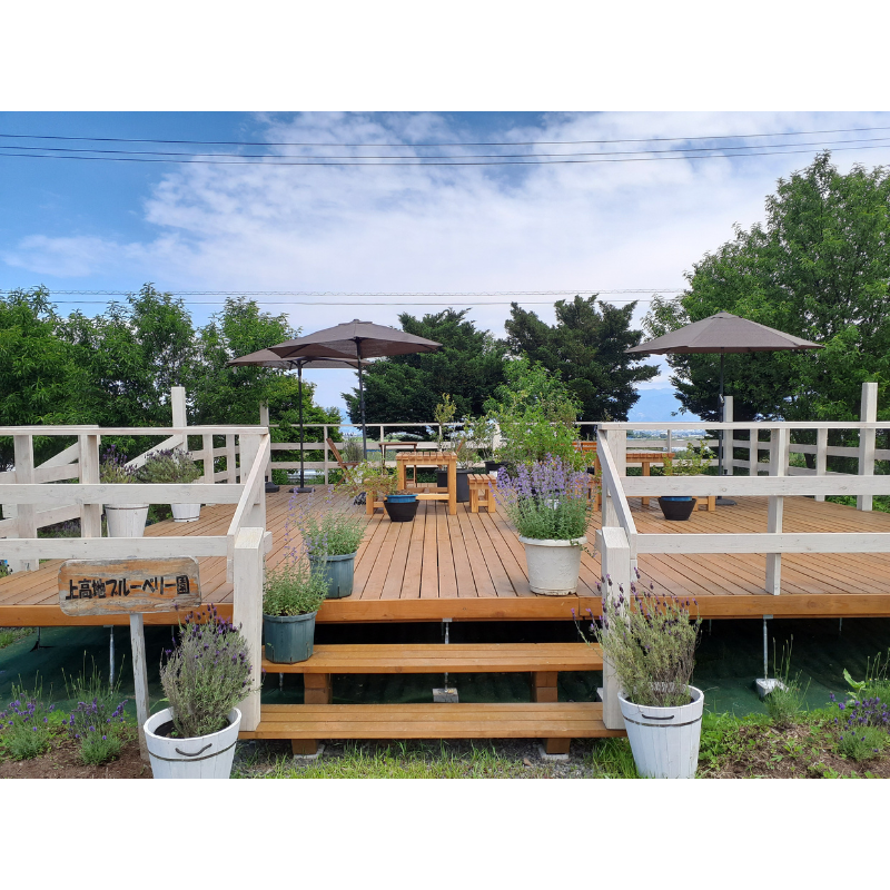 �ڴ��ָ���۾��������֥롼�٥꡼ ������ Ĺ�� ���� �ʲ�������1,090�ߡ�