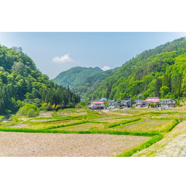 ��ͭ��JASǧ��ۥ������˥å��������ƥ����åץߥå���130g x 2�ܥ��å� ���ä��ƿ��������ǻ���ʴŤߤȥ������ȹ᤬�Ҥ����ĥ����åפΤǤ������� ������ �ʲ�������1,090�ߡ�