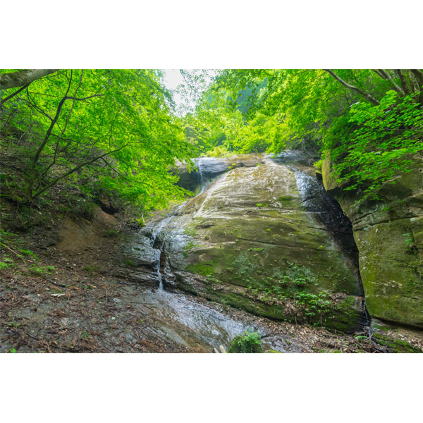 ��ͭ��JASǧ��ۥ������˥å��������ƥ����åץߥå���130g x 2�ܥ��å� ���ä��ƿ��������ǻ���ʴŤߤȥ������ȹ᤬�Ҥ����ĥ����åפΤǤ������� ������ �ʲ�������1,090�ߡ�