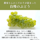 �ڥ��饷�������̲��ʡۡ�����ľ���ۡ�˼������� �ʥ��Υѡ��ץ� ��1.8��2kg 4˼ �������� �ʲ��츩��Υ���ϰ������Բġˡڣ���ܰʹ߽в�ͽ��� Ĺ��ѡ��ץ� �֤ɤ� Ĺ�� ���� ��ʪ �ե롼�� ��ƺ
