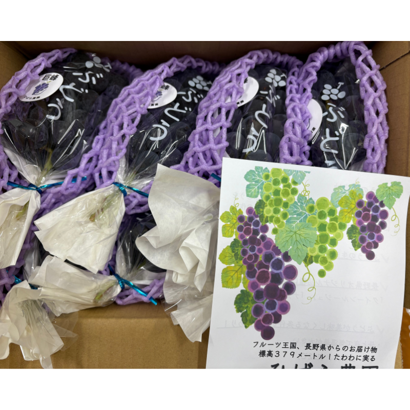 ��ͽ�����䡿������ľ����Ĺ��� ��̵������ 1.6kg��(���츩��Υ���ϰ������Բġ� 9����ܰʹߤ���缡ȯ��