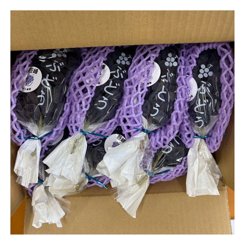 ��ͽ�����䡿������ľ����Ĺ��� ��̵������ 1.6kg��(���츩��Υ���ϰ������Բġ� 9����ܰʹߤ���缡ȯ��