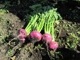 ںʬϽλޤָۡ꡿TVꤹҤ2002ޥåȤҤ  ʪ ʪ Ҥʪ Ĥ å Ĺ ̵ ȯڿ ̵ź ե