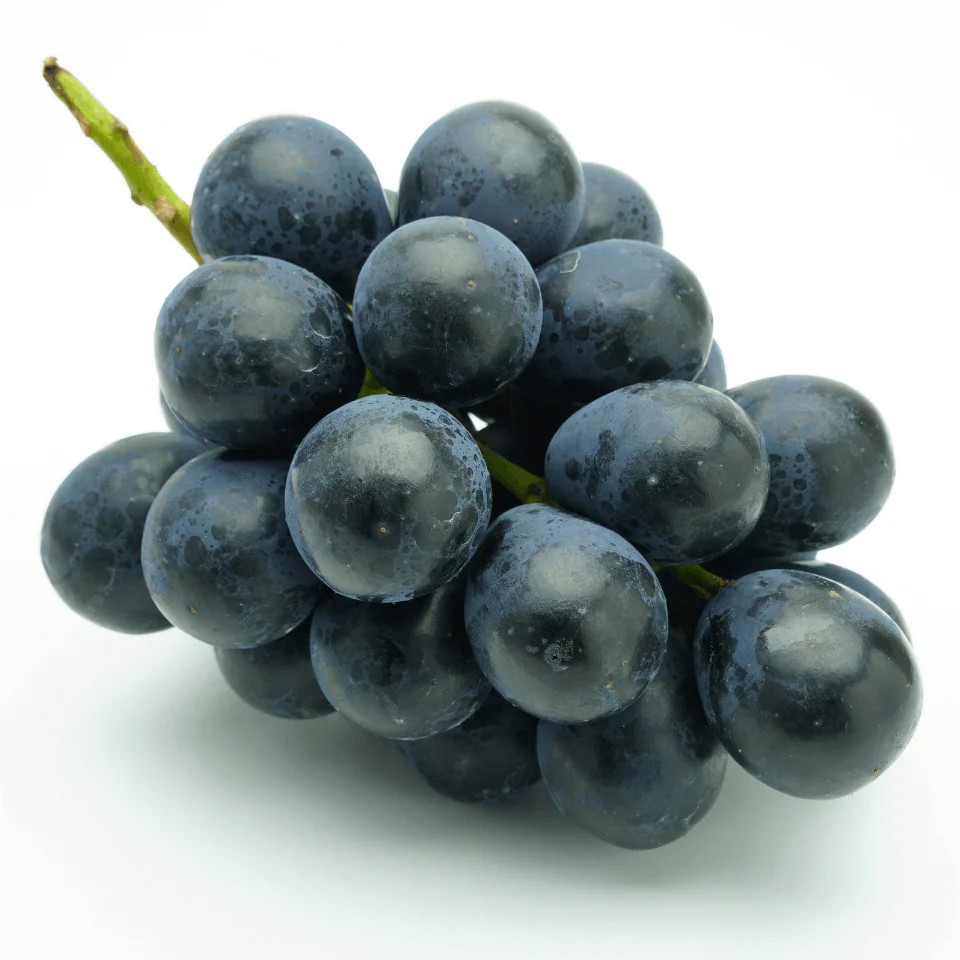 ���вٳ��ϡ�������ľ���ۡ�˼�۽ܤΤ֤ɤ��ͤ��碌����1kg��2��3˼���������� �ʲ��츩��Υ���ϰ������Բġ� 9���ܰʹߤ���缡ȯ��