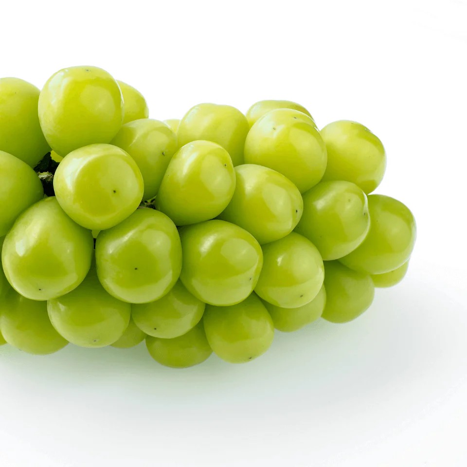 ���вٳ��ϡ�������ľ���ۡ�˼�۽ܤΤ֤ɤ��ͤ��碌����1kg��2��3˼���������� �ʲ��츩��Υ���ϰ������Բġ� 9���ܰʹߤ���缡ȯ��