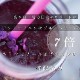 ʥĥϥ L 240g3ĥå (870)