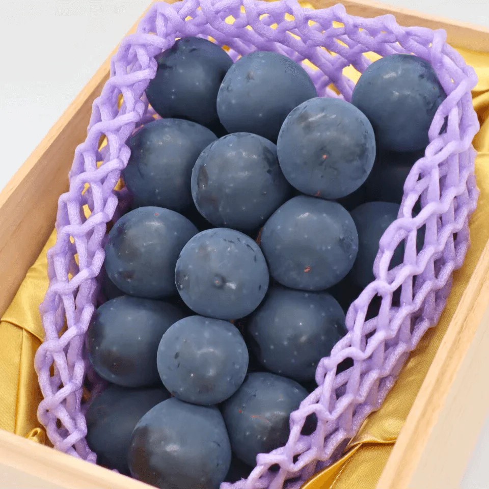 ��ͽ�����䡿���̸���åץ�ߥ��ॻ�쥯����󡡥ʥ��Υѡ��ץ롡1˼�ʶ�Ȣ���������� �ʲ��츩��Υ���ϰ������Բġ� 9���ܰʹߤ���缡ȯ��