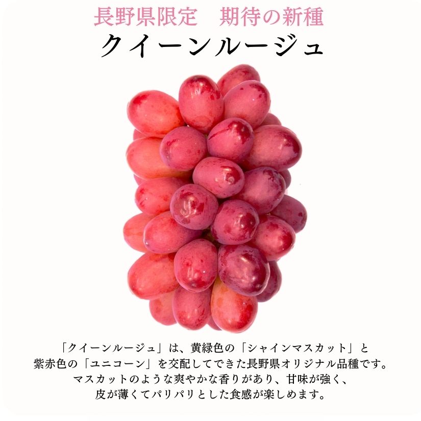 �ڥ��饷�������̲��ʡۡ�����ľ���ۥ�������롼�����R�� 2˼ ��1kg �������� �ʲ��츩��Υ���ϰ������Բġˡڣ���ܰʹ߽в�ͽ��۷�Ϸ���� �֤ɤ� Ĺ�� ���� ��ʪ �ե롼�� ��ƺ ��̵�� �餴��