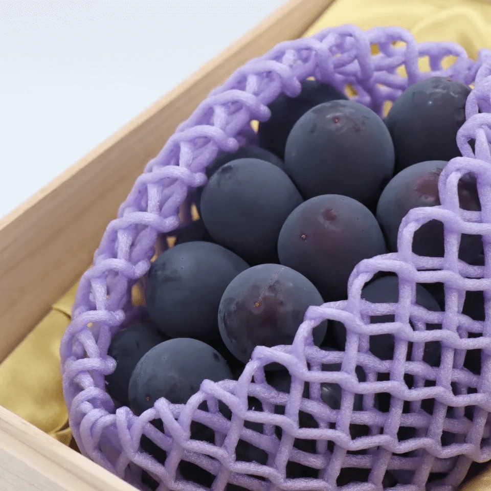 ��ͽ�����䡿���̸���åץ�ߥ��ॻ�쥯����� ��ʤ�������1˼�ʶ�Ȣ���������� �ʲ��츩��Υ���ϰ������Բġ� 9���ܰʹߤ���缡ȯ��