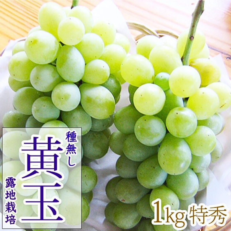 �ڥݥ����10�ܴԸ���ۡ��вٳ��ϡ���˼������۲��̣�kg  2��3˼ ����23��25 ��̵���Ǥ��Τޤ޿��٤���š����֤ɤ� �������� �ʲ��츩��Υ���ϰ������Բġ� 9����ܰʹߤ���缡ȯ��