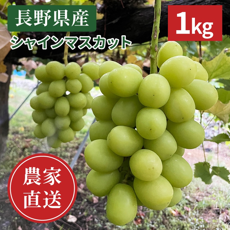 ��ͽ�����䳫�ϡ�������ľ���ۥ��㥤��ޥ����å�1kg�ʲ��츩��Υ���ϰ������Բġ�9����ܺ��в�ͽ��