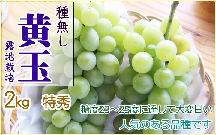 �ڥݥ����10�ܴԸ���ۡ��вٳ��ϡ���˼������۲���2kg 4-5˼ ����23��25 ��̵���Ǥ��Τޤ޿��٤���š����֤ɤ� �������� �ʲ��츩��Υ���ϰ������Բġ� 9����ܰʹߤ���缡ȯ��