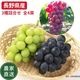 �ڥ��饷�������̲��ʡۡ�����ľ���֤ۤɤ�3�� 4˼���å� ���㥤��ޥ����å�2˼ �ʥ��Υѡ��ץ�1˼ ���ˡ��롼����1˼ ��4˼ 1.8〜2.0kg �������� �ʲ��츩��Υ���ϰ������Բġ� ��9��ܺ��в�ͽ��� �֤ɤ� Ĺ�� ���� ��ʪ �ե롼�� ��ƺ ��̵�� �餴��