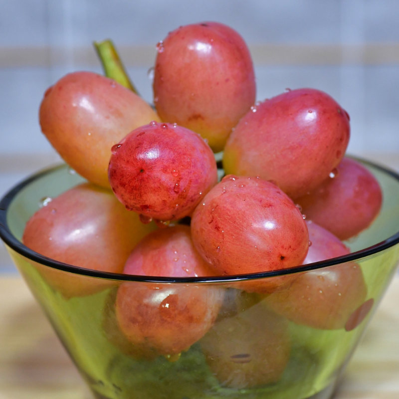 ��ͽ�����䡿��������ۥ�������롼����?1kg  2��3˼ �������� �ʲ��츩��Υ���ϰ������Բġ� 9����ܰʹߤ���缡ȯ��