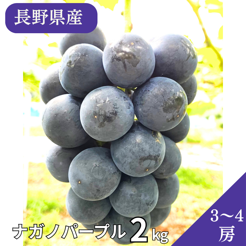 ��ͽ�����䳫�ϡ� �磻�ʥ꡼���Ĥ��ä��ʥ��Υѡ��ץ���2kg(3˼��5˼���������� �ʲ��츩��Υ���ϰ������Բġˡڣ�����ܰʹ߽в�ͽ��� Ĺ��ѡ��ץ�  �֤ɤ� Ĺ�� ���� ��ʪ �ե롼�� ��ƺ