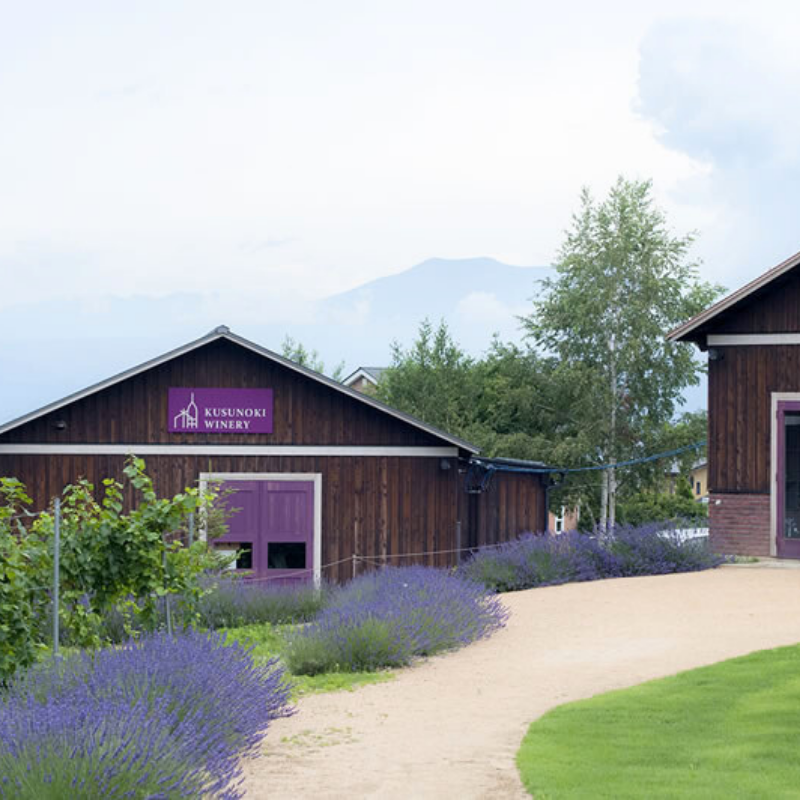 ��ͽ�����䳫�ϡ� �磻�ʥ꡼���Ĥ��ä��ʥ��Υѡ��ץ���2kg(3˼��5˼���������� �ʲ��츩��Υ���ϰ������Բġˡڣ�����ܰʹ߽в�ͽ��� Ĺ��ѡ��ץ�  �֤ɤ� Ĺ�� ���� ��ʪ �ե롼�� ��ƺ