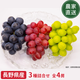 �ڥ��饷�������̲��ʡۡ�����ľ���֤ۤɤ�3�� 4˼���å� ���㥤��ޥ����å�2˼ �ʥ��Υѡ��ץ�1˼ ��������롼�����R��1˼ ��4˼ 1.8��2.0kg �������� �ʲ��츩��Υ���ϰ������Բġˡ�9��ܤ��в�ͽ��֤ۤɤ� Ĺ�� ���� ��ʪ �ե롼�� ��ƺ ��̵�� �餴��