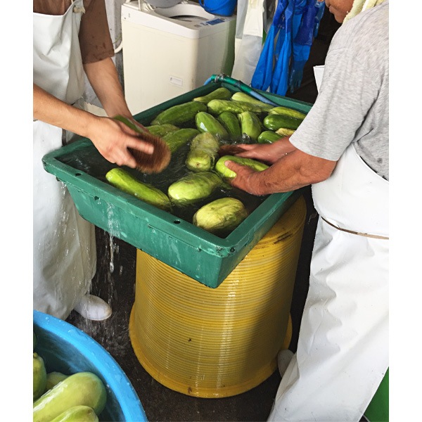 �ҤȤ���������100g 12�ĥ��å� �������ʲ�������1,370�ߡ�
