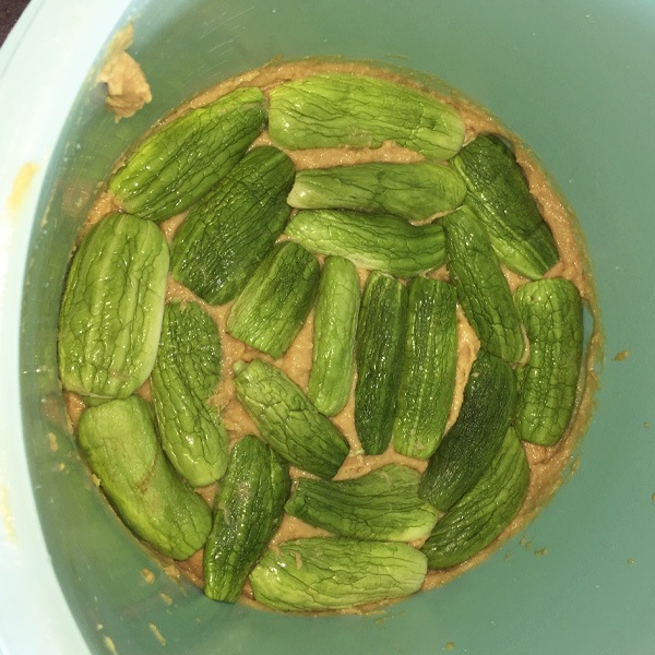 �ҤȤ���������100g 12�ĥ��å� �������ʲ�������1,370�ߡ�