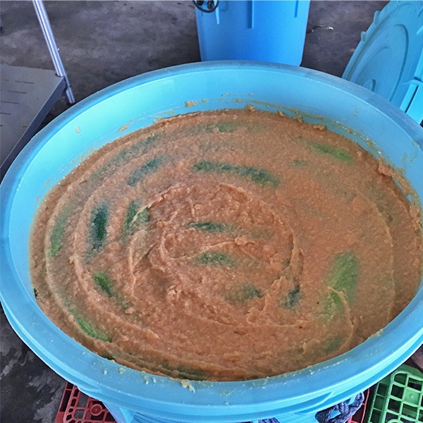 �ҤȤ���������100g 12�ĥ��å� �������ʲ�������1,370�ߡ�