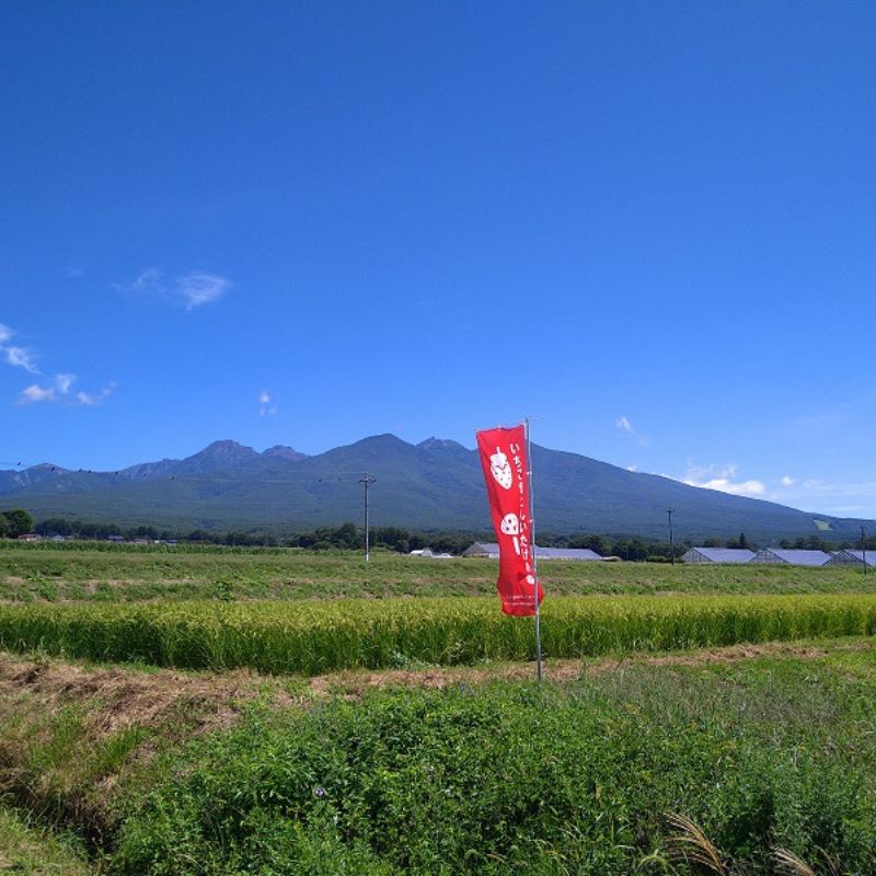 ��300P�Ը���ۡڿ�����ľ�ء�£���� ������  Ȭ�Ĥޤ�200g��4 ������ ���ե�  ����� ���渵 ���渵 £��ʪ Ĺ�� ���� ��