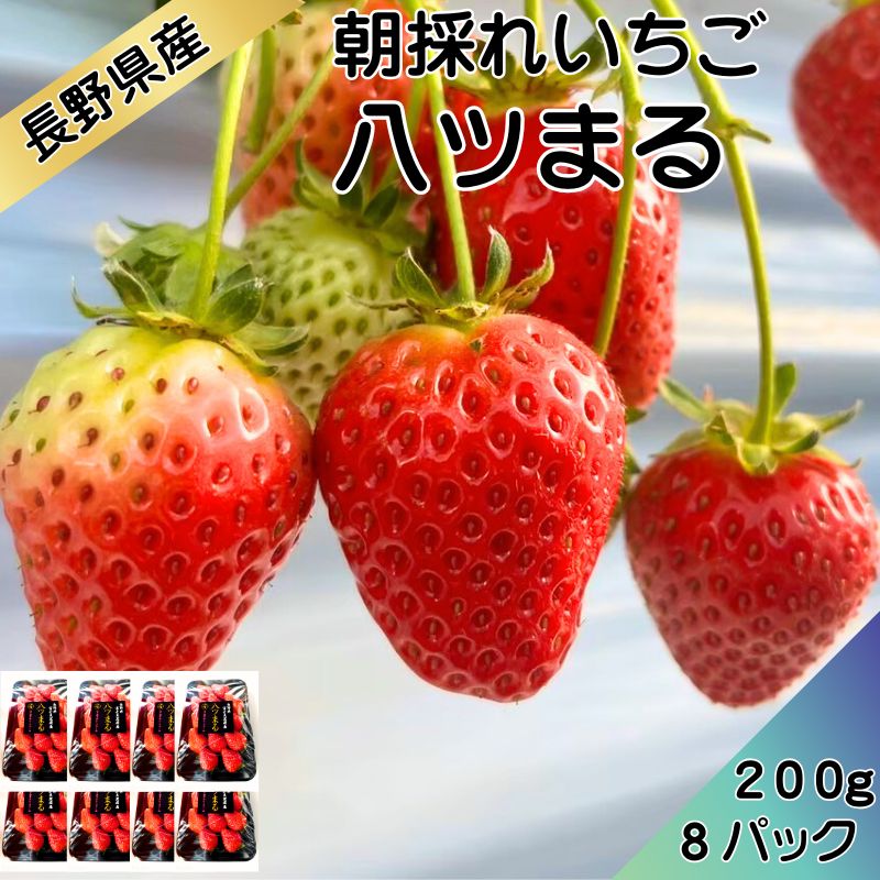 �ڿ�����ľ�ء�£���� ������ Ȭ�Ĥޤ�200g��8 ������ ���ե�  ����� ���渵 ���渵 £��ʪ Ĺ�� ���� ��