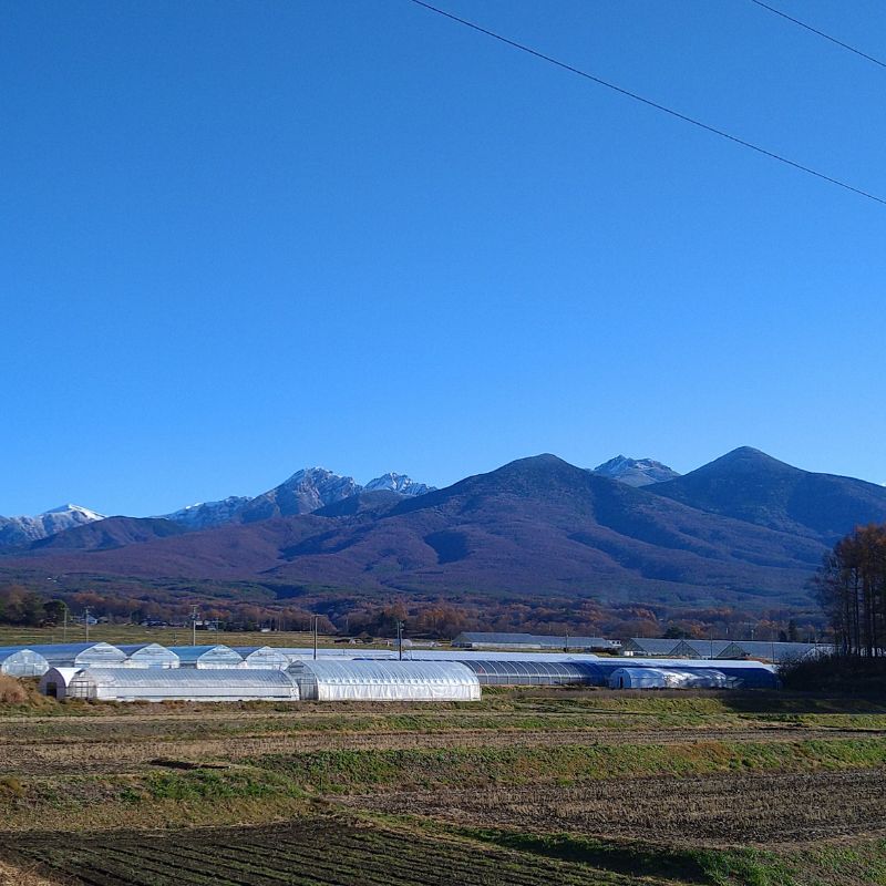 �ڿ�����ľ�ء�£���� ������ Ȭ�Ĥޤ�200g��8 ������ ���ե�  ����� ���渵 ���渵 £��ʪ Ĺ�� ���� ��