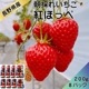 �ڿ�����ľ�ء�£���� ������ �Ȥۤä�200g��8�������� ���ե�  ����� ���渵 ���渵 £��ʪ Ĺ�� ���� ��