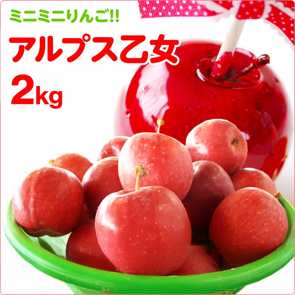 ��ͽ�����䳫�ϡ�10����ܤ��в�ͽ��ۡ�����ľ���ۥ���ץ�����2kg ��󤴰� ���� Ĺ�� ���ե��������ʲ��츩��Υ���ϰ������Բġ�