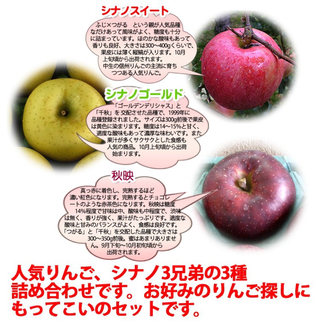 ��ͽ�����䳫�ϡ���Ĺ����ۡ�10����ܰʹ߽в�ͽ��ۥ��ʥ�3���� ��󤴵ͤ��碌 2kg 2�̡�3���å� ������ ������� ���եȡʲ��츩��Υ���ϰ������Բġ�