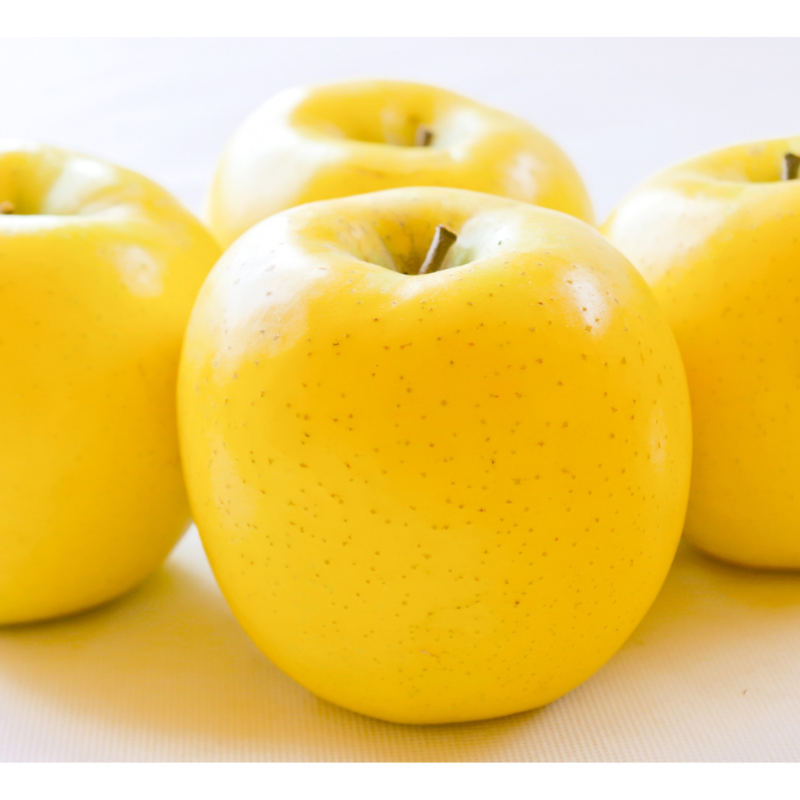 ��ͽ�����䳫�ϡ�10��ܤ��в�ͽ��ۡ�����ľ���ۥ��ʥΥ������ 3kg £���� 11�̤���12�� ���Ĳ� �������ʲ��츩��Υ���ϰ������Բġ�