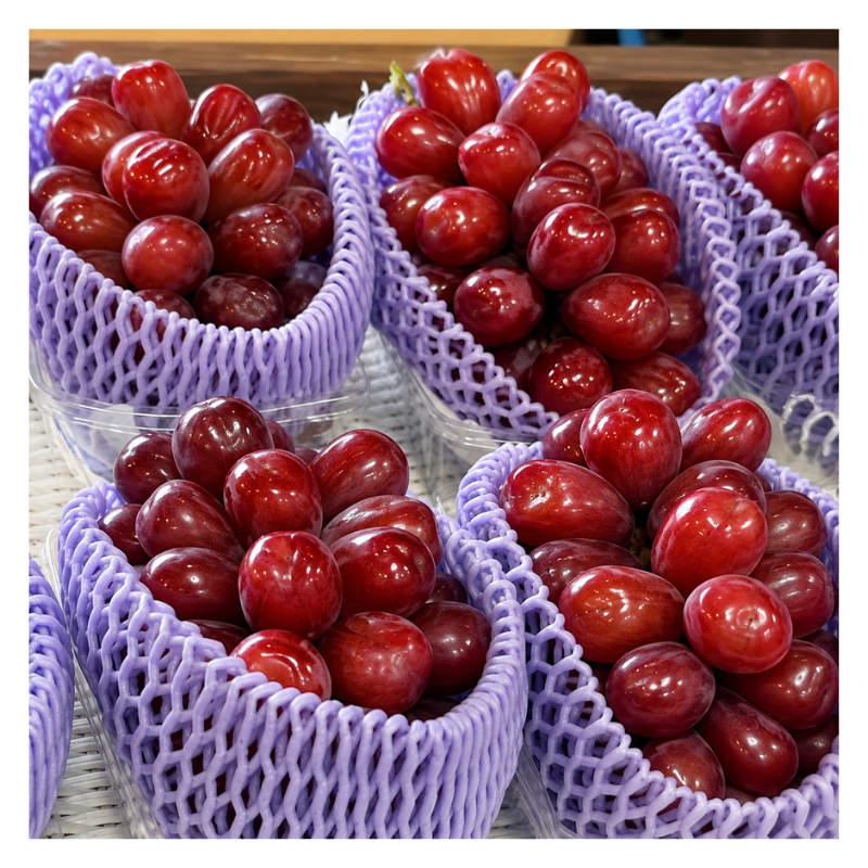 �ڽвٳ��ϡ�Ĺ��� ����γ�ۡ��ٻΤε� 1kg�ʾ� 1˼��2˼  ������ �����ʼ�ʲ��졦Υ�������Բġ�