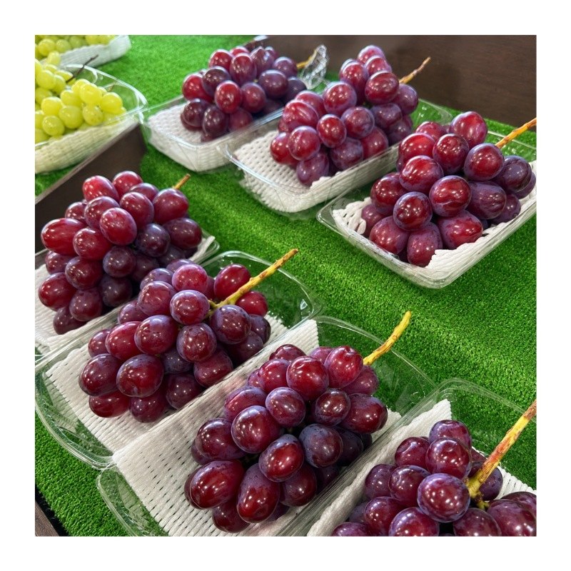 �ڽвٳ��ϡ�Ĺ��� ����γ�ۡ��ٻΤε� 1kg�ʾ� 1˼��2˼  ������ �����ʼ�ʲ��졦Υ�������Բġ�