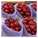 �ڽвٳ��ϡ�Ĺ��� ����γ�ۡ��ٻΤε� 1kg�ʾ� 1˼��2˼  ������ �����ʼ�ʲ��졦Υ�������Բġ�