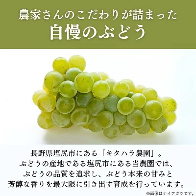 ���вٳ��ϡ�������ľ���ۡ�˼������� �ʥ��Υѡ��ץ� ��1.8��2kg 4˼ �������� �ʲ��츩��Υ���ϰ������Բġˡڣ���ܰʹ߽в�ͽ��� Ĺ��ѡ��ץ� �֤ɤ� Ĺ�� ���� ��ʪ �ե롼�� ��ƺ