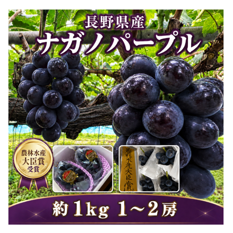 �� ���ӿ建��þ޼��ޡ�Ĺ����ʥ��Υѡ��ץ� 1��2˼��1kg�ڣ����ܽв�ͽ��� ������ (���졦Υ�������Բġ�