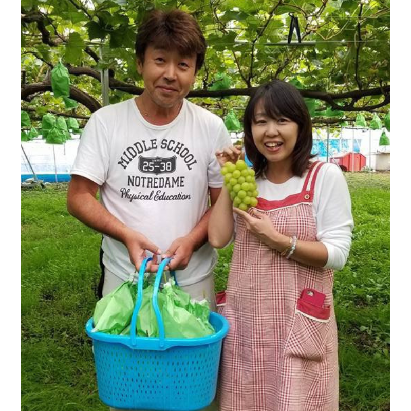 �����ӿ建��þ޼��ޡ�Ĺ����ʥ��Υѡ��ץ� 3��4˼ ��2kg �������ڣ����ܽв�ͽ��� (���졦Υ�������Բġ�