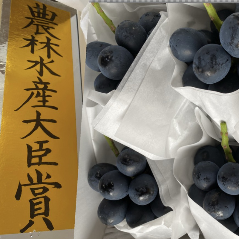 �����ӿ建��þ޼��ޡ�Ĺ����ʥ��Υѡ��ץ� 3��4˼ ��2kg �������ڣ����ܽв�ͽ��� (���졦Υ�������Բġ�