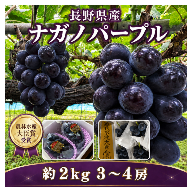 �����ӿ建��þ޼��ޡ�Ĺ����ʥ��Υѡ��ץ� 3��4˼ ��2kg �������ڣ����ܽв�ͽ��� (���졦Υ�������Բġ�