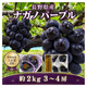 �����ӿ建��þ޼��ޡ�Ĺ����ʥ��Υѡ��ץ� 3��4˼ ��2kg �������ڣ����ܽв�ͽ��� (���졦Υ�������Բġ�