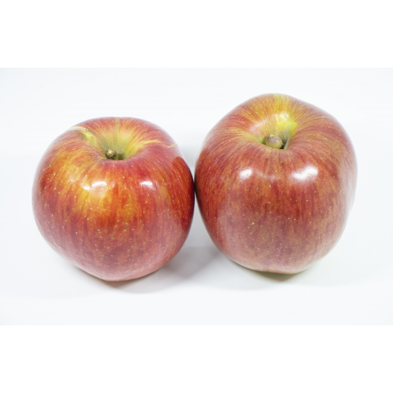 ͽ䳫ϡ ܤΤ󤴵ͤ碌ʥդ//̾ 3kg 3̡3åȡ11&#12316;ܰʹȯͽ ߡʲ츩ΥϰԲġ