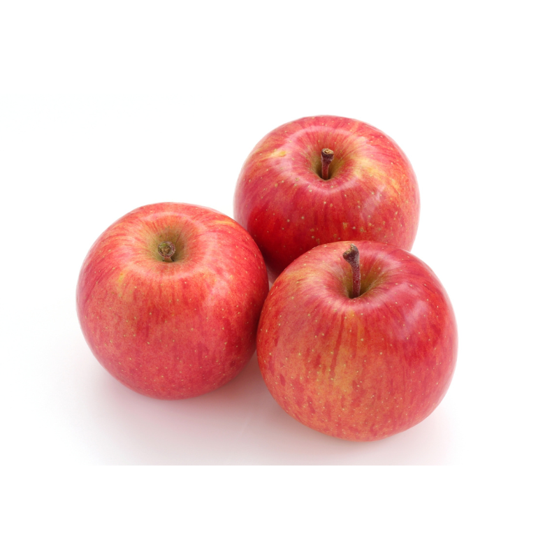 ͽ䳫ϡ ܤΤ󤴵ͤ碌ʥդ//̾ 3kg 3̡3åȡ11&#12316;ܰʹȯͽ ߡʲ츩ΥϰԲġ