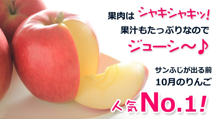 ͽ䳫ϡۡھ̡ۥʥΥ 3kg 10&#12316;ܰʹȯͽߡʲ츩ΥϰԲġ