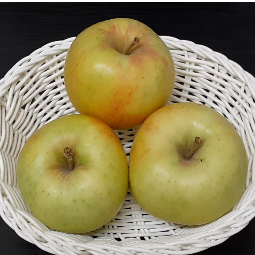 ͽ䳫ϡۡھ̡̾  3kg 11ܡܰʹȯͽ  ʲ츩ΥϰԲġ