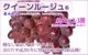 �ڥ��饷�������̲��ʡۡ�������ۥ�������롼�����R��1kg 2��3˼ �������� �ʲ��츩��Υ���ϰ������Բġ� 9����ܰʹߤ���缡ȯ��