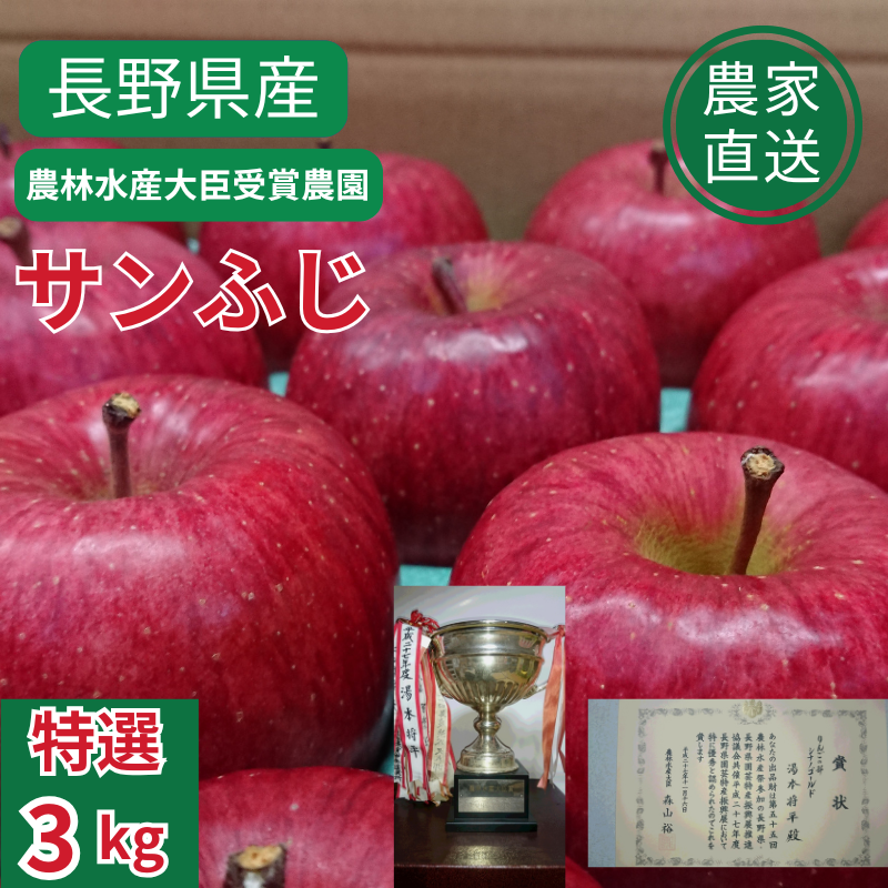 予約販売開始／【農林水産大臣賞受賞農園】サンふじ特選3kg(6玉～10