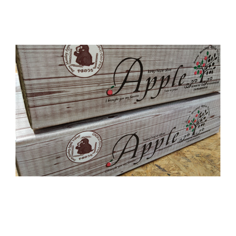 ��ͽ�����䳫�ϡ������ӿ建��þ޼�������ۥ���դ�����3���(6�̡�10��)  ��11��ܰʹ߽缡�в�ͽ����������� �ʲ��츩��Υ���ϰ������Բġ�