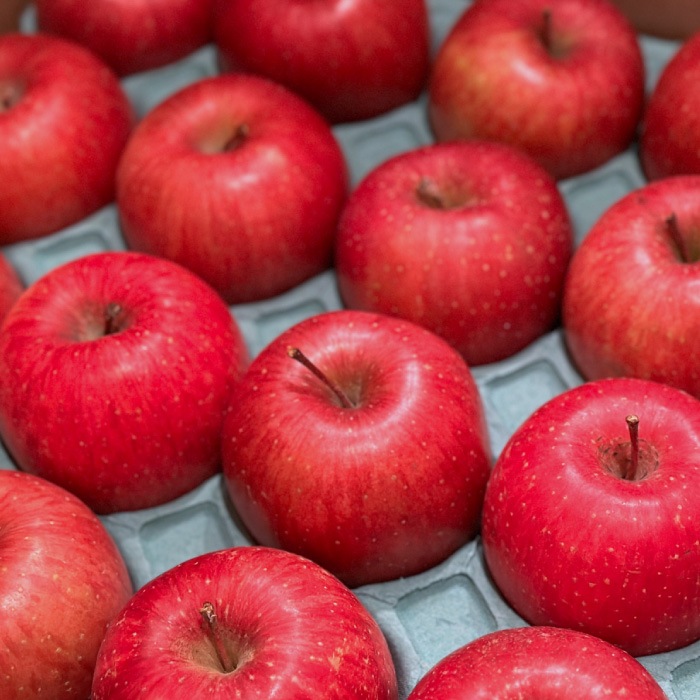 ͽ䳫ϡڲѡۡھ̡ۥդ3kg 812̡11ܰʹ߽缡вͽ̪  Ĺ  ʲ츩ΥϰԲġ