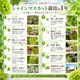 �ڥ��饷�������̲��ʡۡ�����ľ����Ĺ��� ���֡����֤ɤ� ��γ��5�ʼ��γ�ͤ��碌����500��˿�����٥��å� �������� �ʲ��츩��Υ���ϰ������Բġ� 9����ܰʹߤ���缡ȯ��
