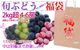 ���⤦�����в١� ���ȸ��� �ܤΤ֤ɤ���ʡ�ޡ� ���ڤ���2kg���å� ���������ʲ��졦Υ�������Բġ�